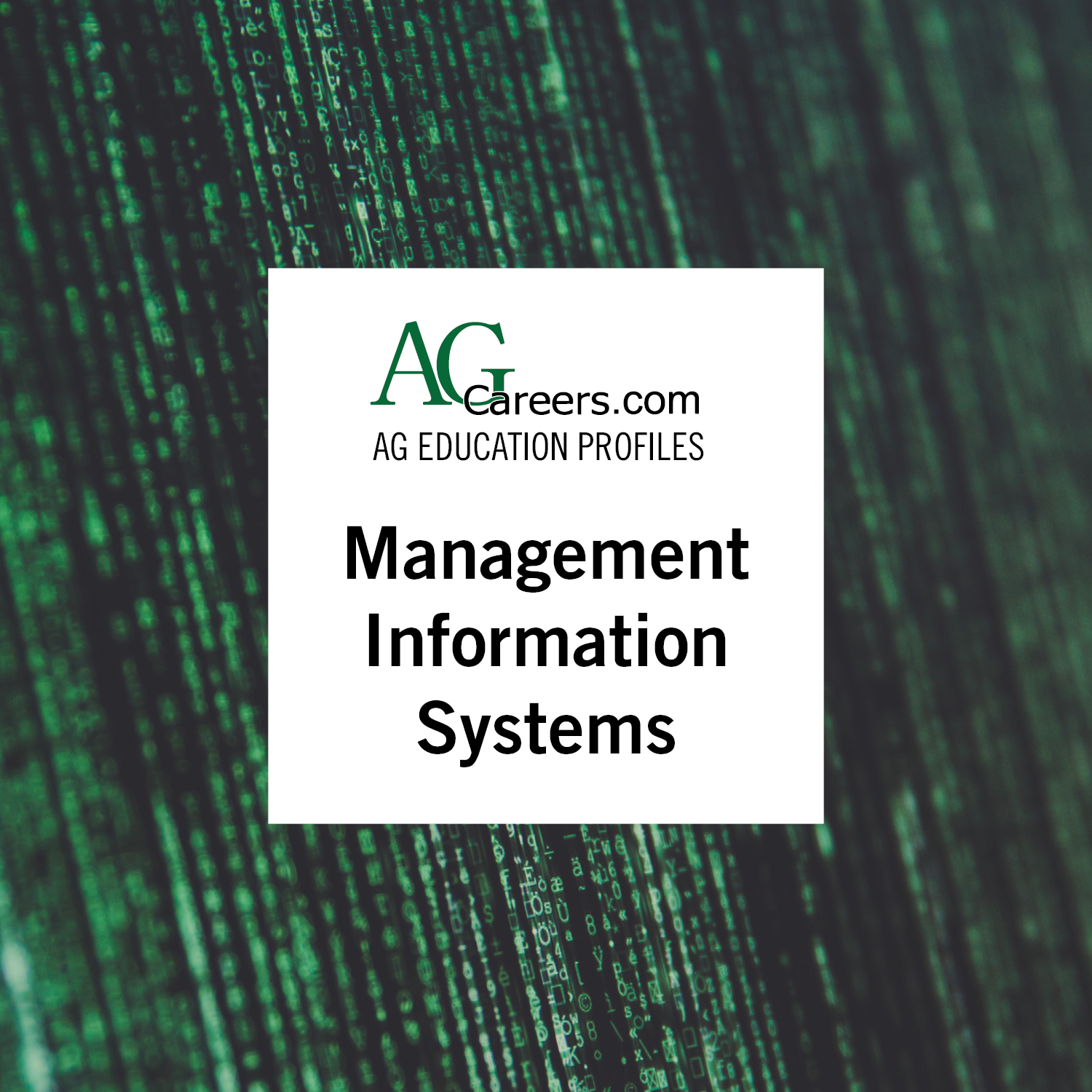 management information systems